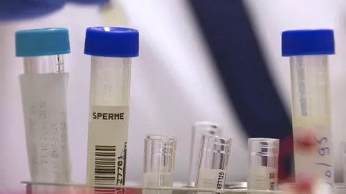 Temps Présent Elles font des bébés toutes seules