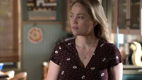 Ten Days in the Valley en streaming