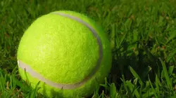 Sur beIN SPORTS 3 à 22h00 : Wimbledon
