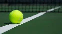 Multiplex Tennis Coupe Davis 2023