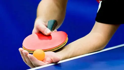 Demi-finales Tennis de table Super Series 2015