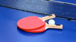 Tennis de table : PRO A