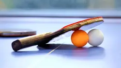 Tennis de table : PRO Dames