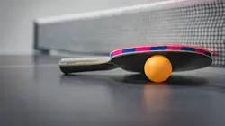 Tennis de table : PRO Dames