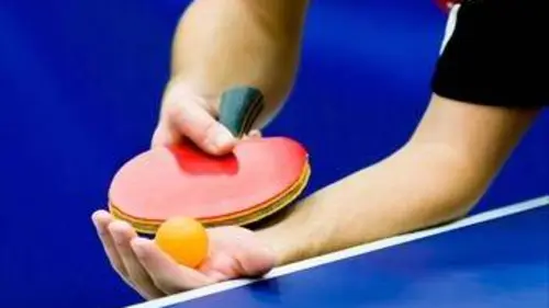 Tennis de table World Tour Platinium 2019