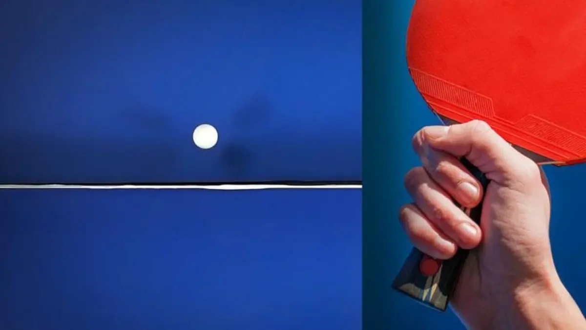 Tennis de table WTT Star Contender de Ljubljana 2026