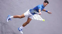 Novak Djokovic / Grigor Dimitrov