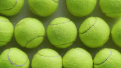 Visuel de Serena Williams / Simona Halep