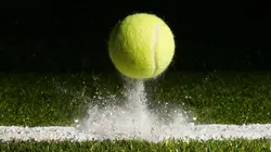 Tennis Phase finale de Coupe Davis