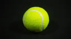 Sur Eurosport 2 à 19h30 : Tennis Tournoi ATP de Rotterdam 2024