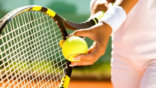 Tennis : Tournoi ATP de Transylvanie