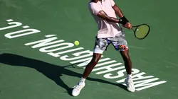 Tennis Tournoi ATP de Washington