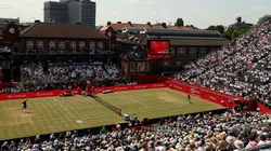 Tennis Tournoi ATP du Queen's 2026