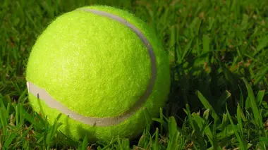 Tennis Wimbledon 2026