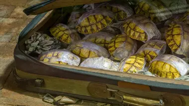 Tension aux frontières