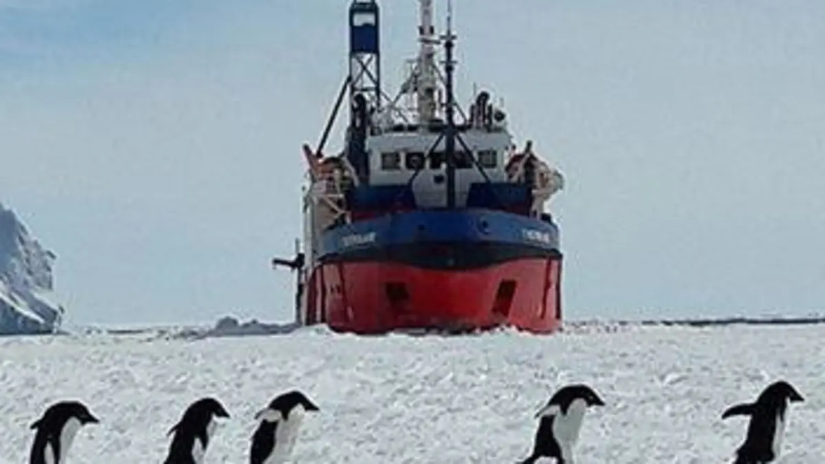 Terre Adélie, une vigie dans les glaces