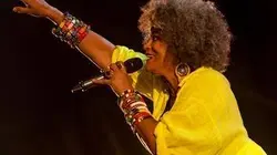 Visuel de Terre de Blues 2018