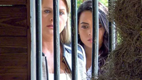 Terre de passions E156