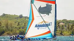 Visuel de Terre de yoles