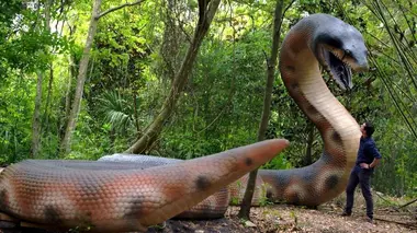 Titanoboa et Balouchitère