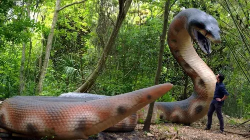 Terre des géants Titanoboa et Balouchitère