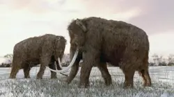 Terre des géants
