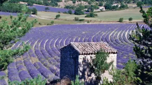 Terre des mondes E05 La Provence