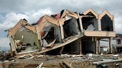 Terre en danger : catastrophes modernes