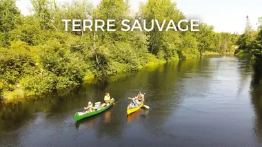 Terre sauvage
