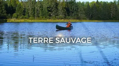 Terre sauvage