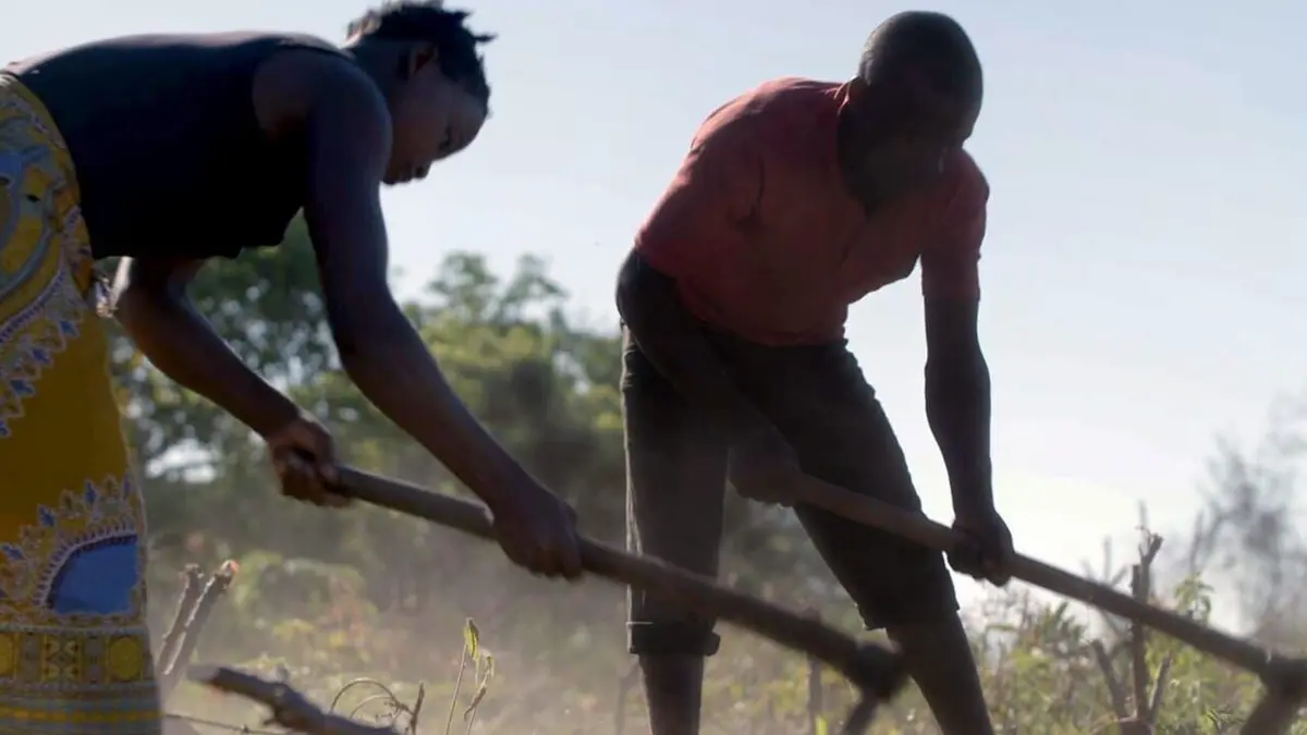 Terres de femmes Mozambique, les Makhuwa