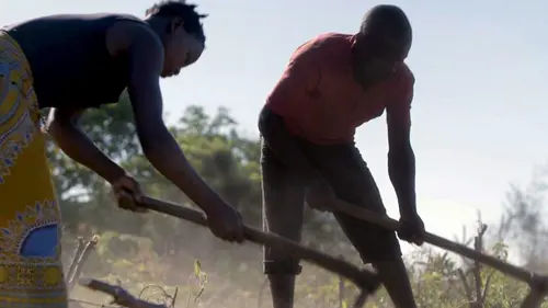 Terres de femmes Mozambique, les Makhuwa