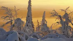 Visuel de Terres de glace