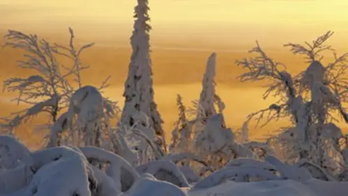 Terres de glace E01 Aux bouts du monde