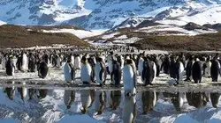 Visuel de Terres de glace