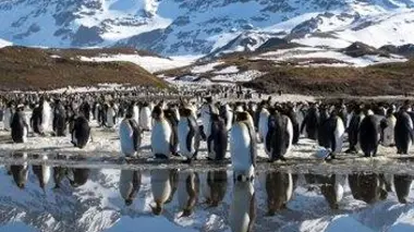 Le répit de l'été