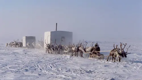 Terres de glace Les pôles, ultimes frontières