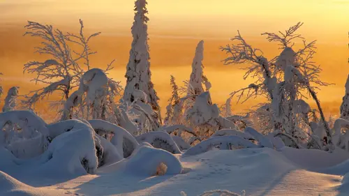 Terres de glace replay
