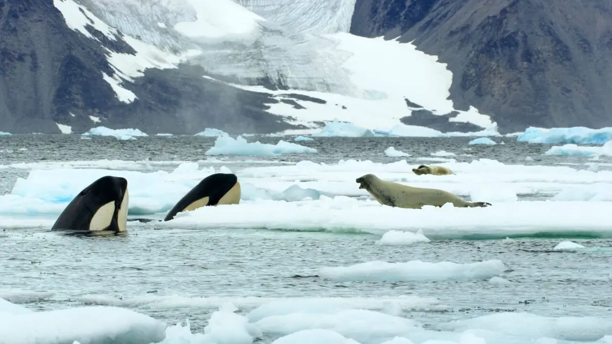 Visuel de Terres de glace L'Antarctique