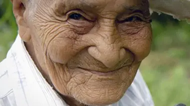 Le Guanacaste au Costa Rica