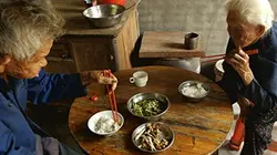 Visuel de Terres de longévité