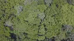 Terres extrêmes Enfer vert