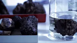 Visuel de Terres rares