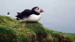 Terres sauvages du Grand Nord
