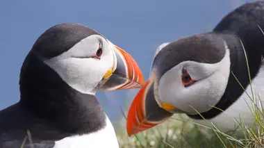 Le retour de la lumière