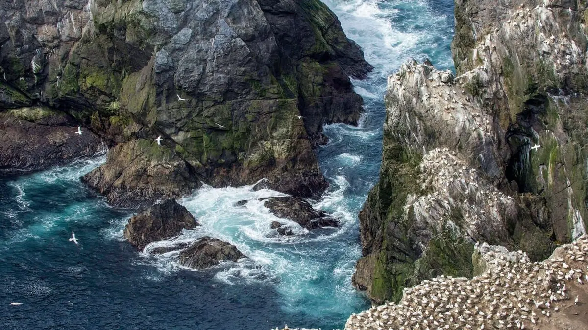 Terres sauvages du Grand Nord Tempêtes d'automne