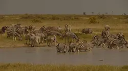 Terres sauvages en danger