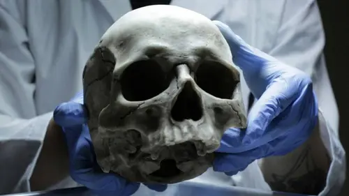 Terribles secrets S03E11 Depraved