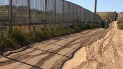 Visuel de Tex-Mex, l'Amérique de demain