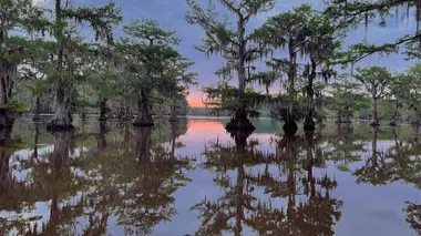 Des cowboys et des dauphins